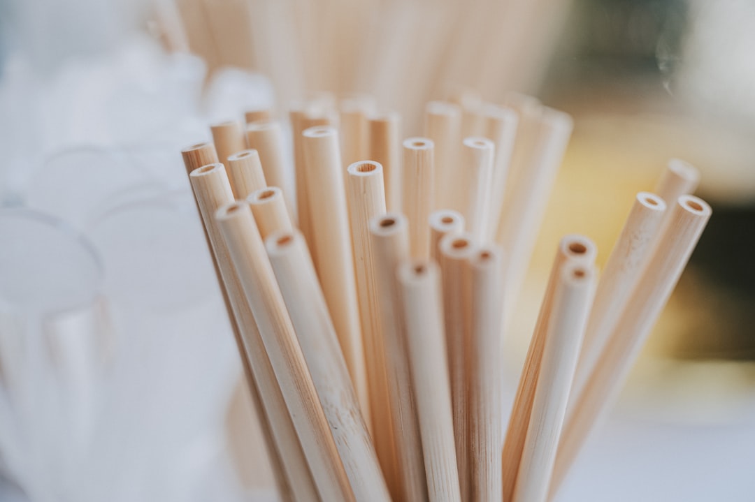 Cannucce in Bambù Riutilizzabili Set 12 con Scovolini