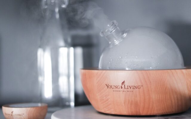Diffusore WOODY Vetro e Legno Aromaterapia